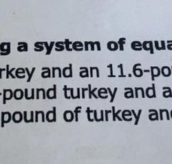 Casey bought a 15.4 pound turkey