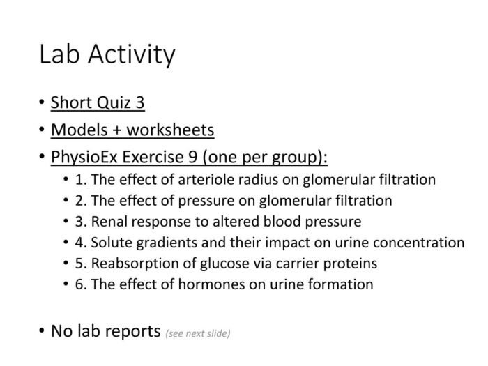 Physioex exercise 3 activity 9