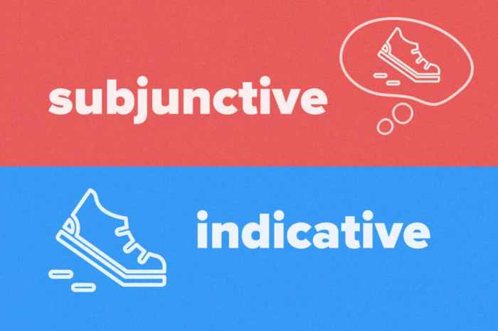 Indicative subjunctive vs sentence ppt powerpoint presentation why slideserve