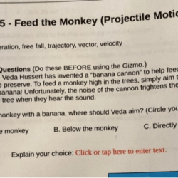 Feed the monkey gizmo answer key