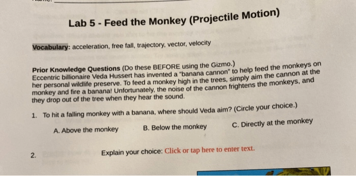 Feed the monkey gizmo answer key