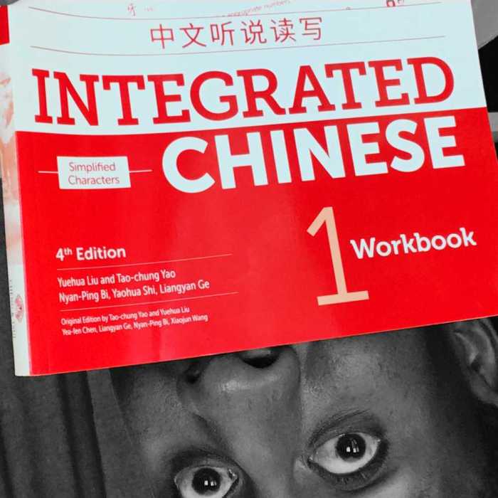 Integrated chinese 3 workbook answers