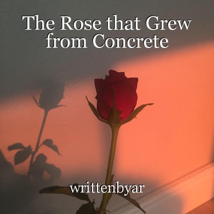 The rose that grew from concrete worksheet