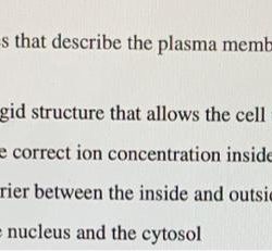 Membrane proteins biology peripheral amplifire kf1 receptors