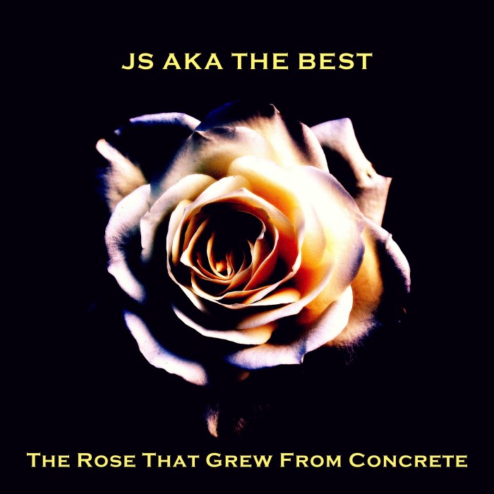 The rose that grew from concrete worksheet