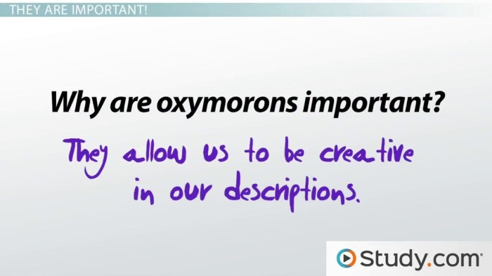 Oxymoron speech funny figure english language examples contradictory terms two together silence deafening list literal translation apparently which appear grammar